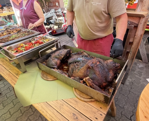 IMG_3101
